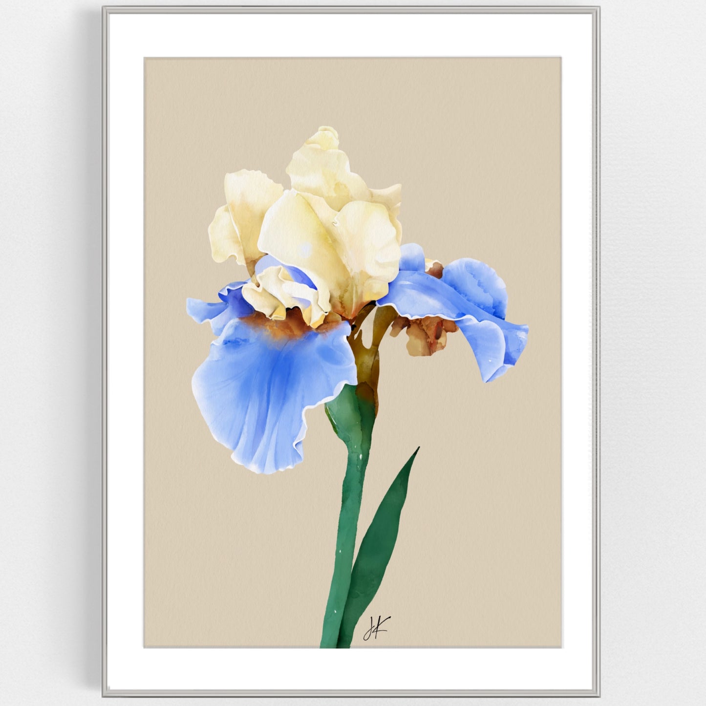PURE IRIS