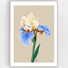 Načíst obrázek do prohlížeče Galerie, PURE IRIS