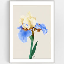 Načíst obrázek do prohlížeče Galerie, PURE IRIS