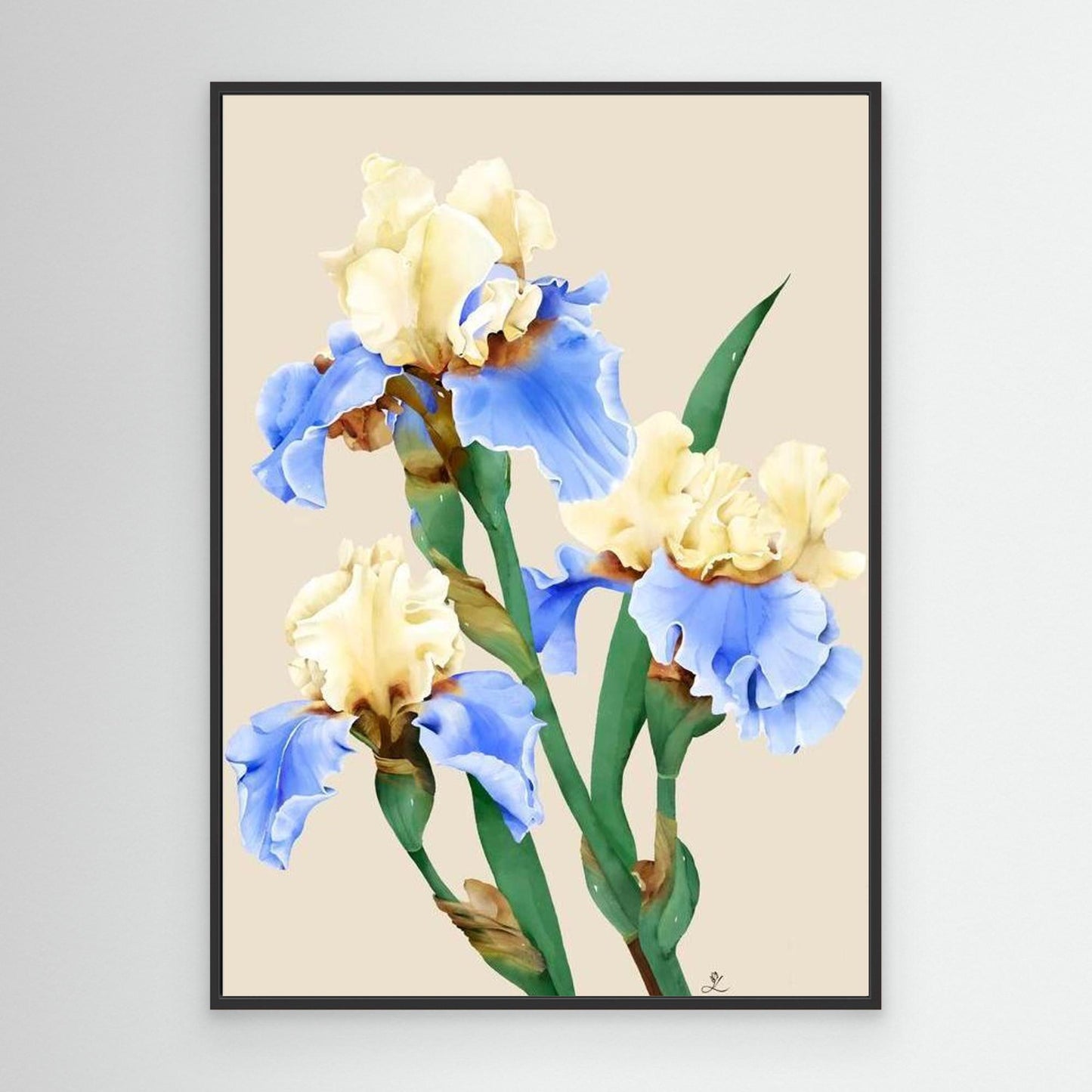 Painting of blooming irises in soft colors, canvas in black floating frame by Janka Kykalova.