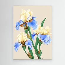 Načíst obrázek do prohlížeče Galerie, Painting of blooming irises in soft colors, unframed canvas by Janka Kykalova.