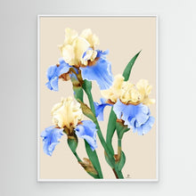 Načíst obrázek do prohlížeče Galerie, Painting of blooming irises in soft colors, canvas in white floating frame by Janka Kykalova.