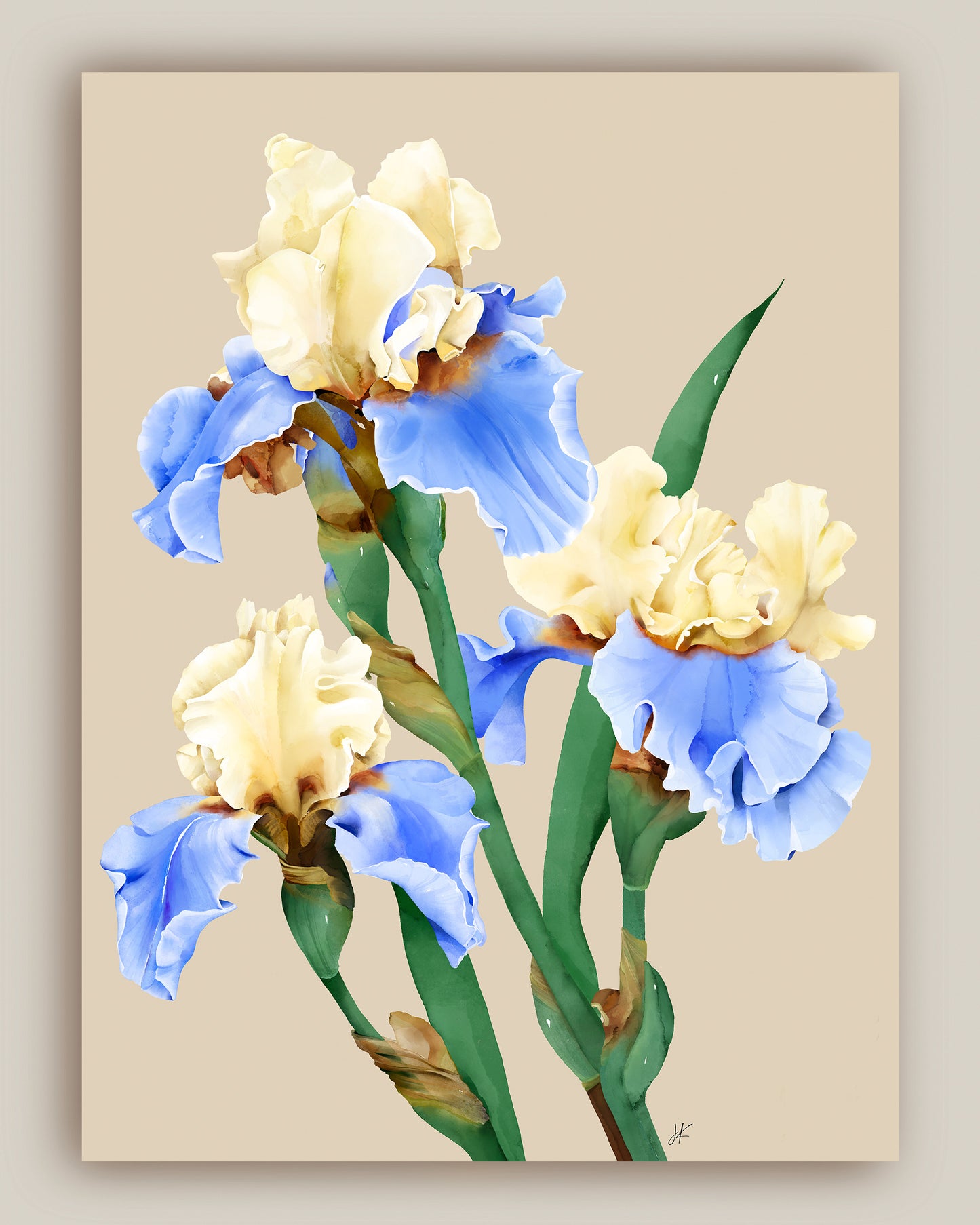 Painting of blooming irises in soft colors, unframed canvas by Janka Kykalova.