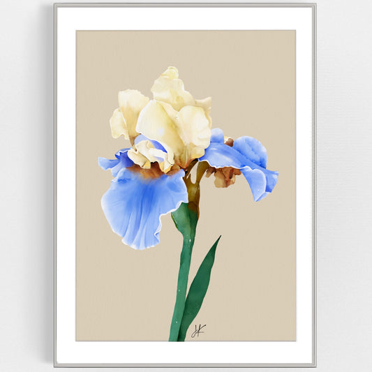 PURE IRIS