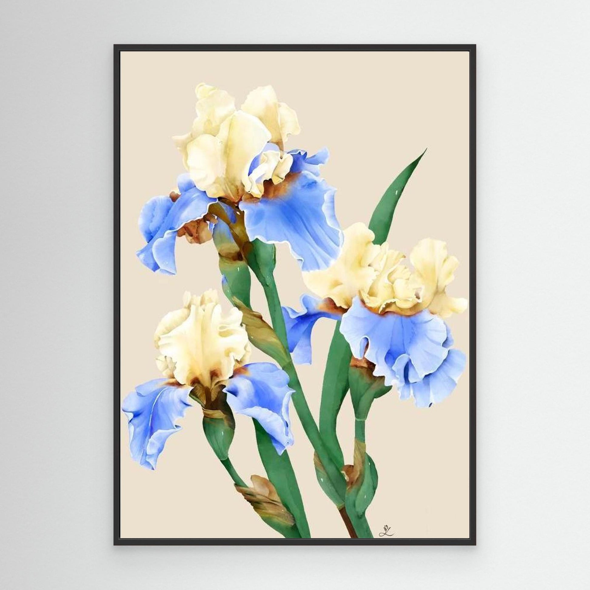Painting of blooming irises in soft colors, canvas in black floating frame by Janka Kykalova.