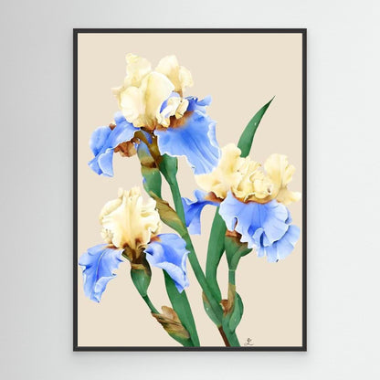Painting of blooming irises in soft colors, canvas in black floating frame by Janka Kykalova.