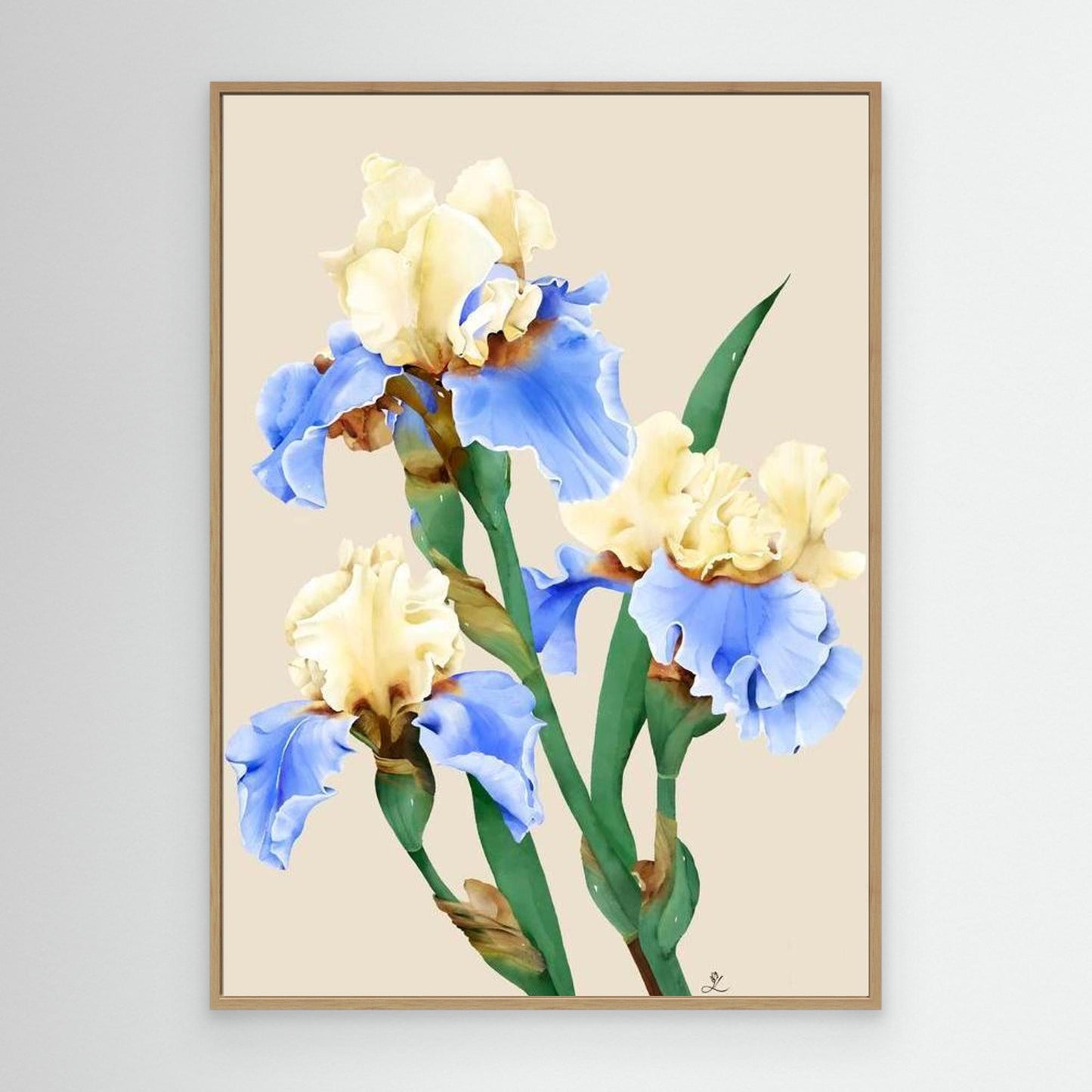 Painting of blooming irises in soft colors, canvas in oak floating frame by Janka Kykalova.