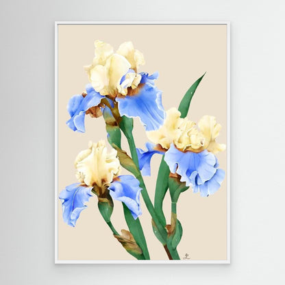 Painting of blooming irises in soft colors, canvas in white floating frame by Janka Kykalova.