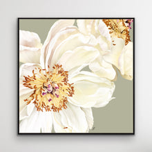 Load image into Gallery viewer, White peony in full bloom, symbol of harmony and grace, canvas in black floating frame by Janka Kykalova.
