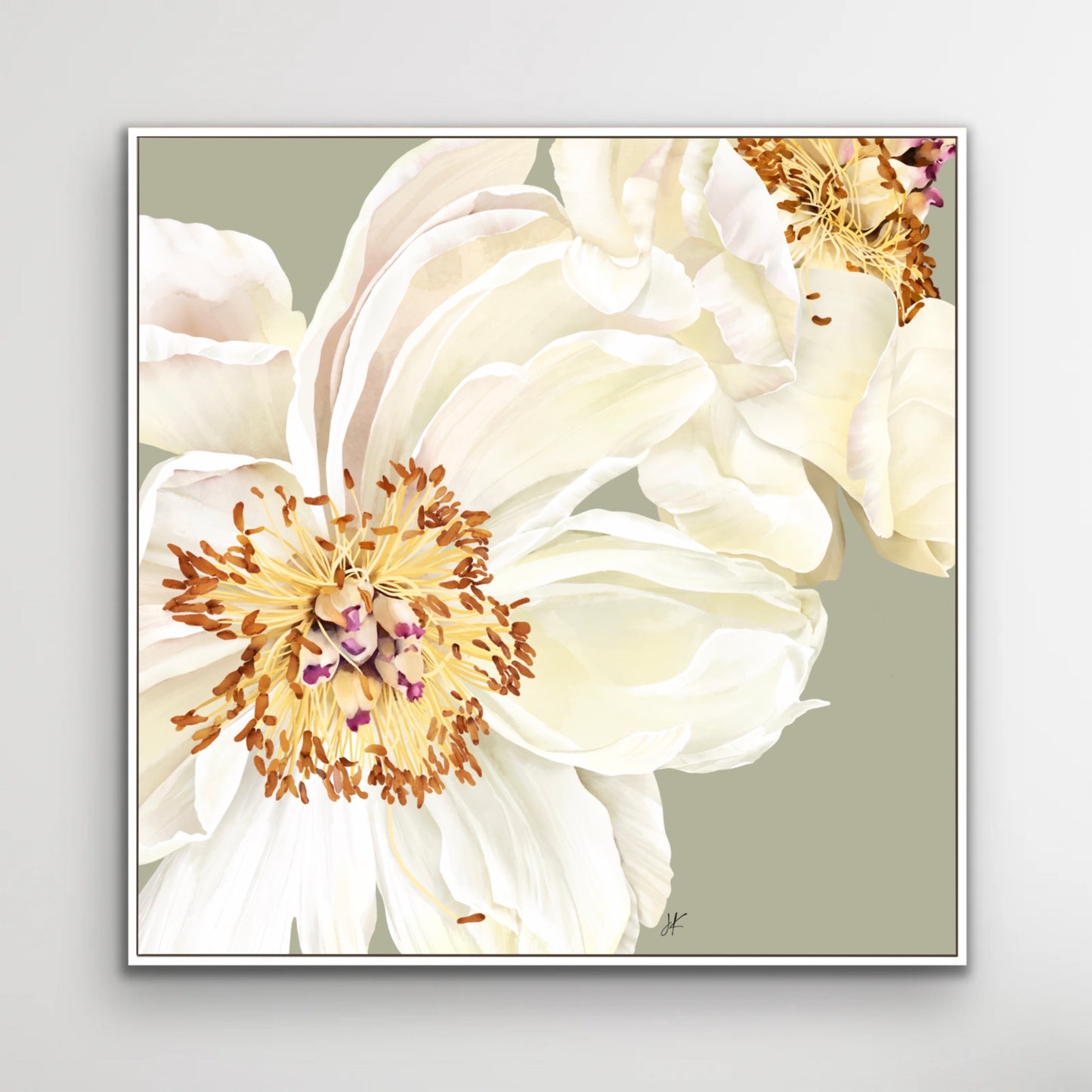 White peony in full bloom, symbol of harmony and grace, canvas in white floating frame by Janka Kykalova.